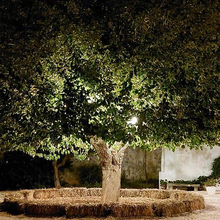 Masseria San Martino Polignano a Mare Luaran gambar