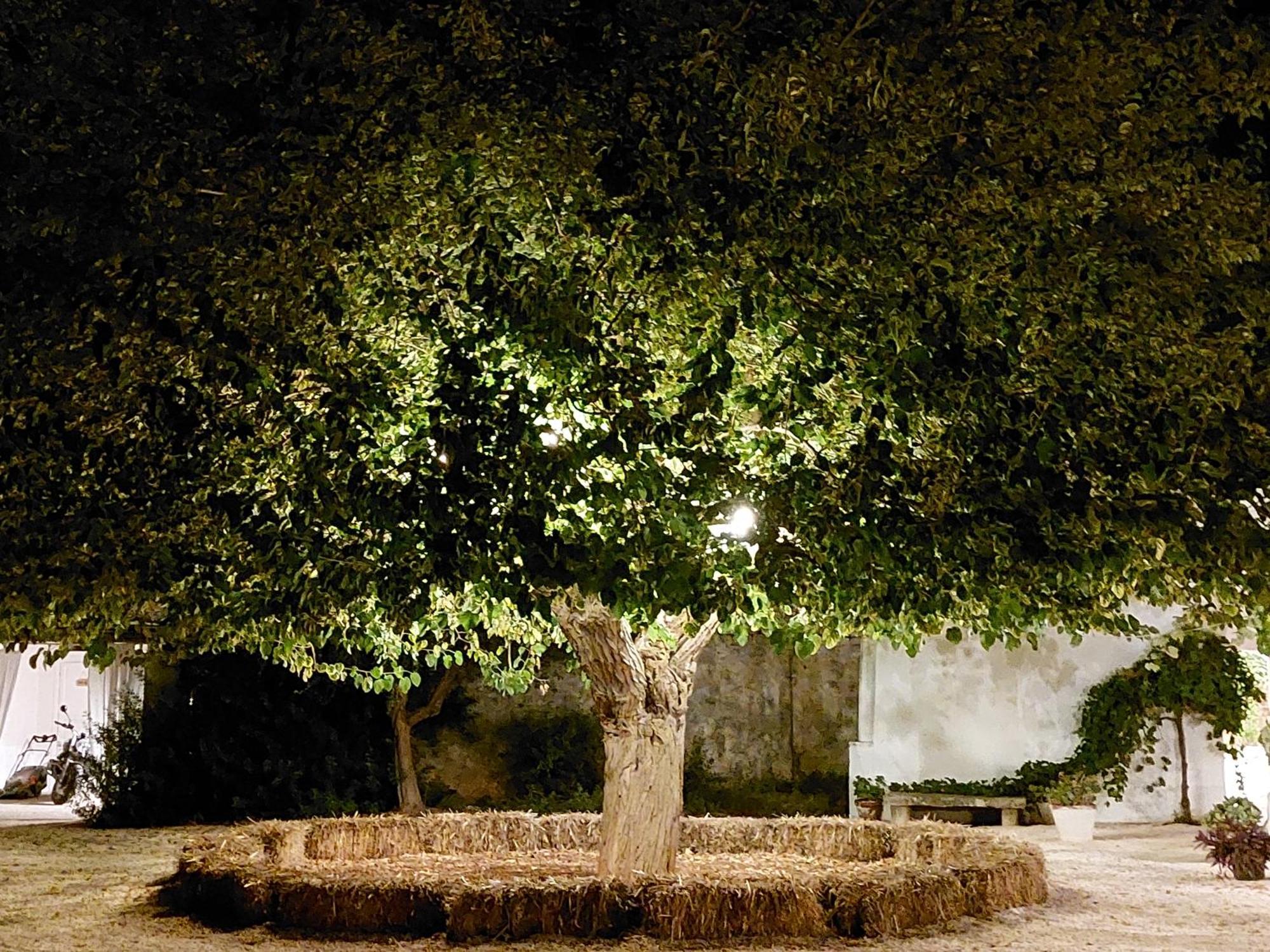 Masseria San Martino Polignano a Mare Luaran gambar