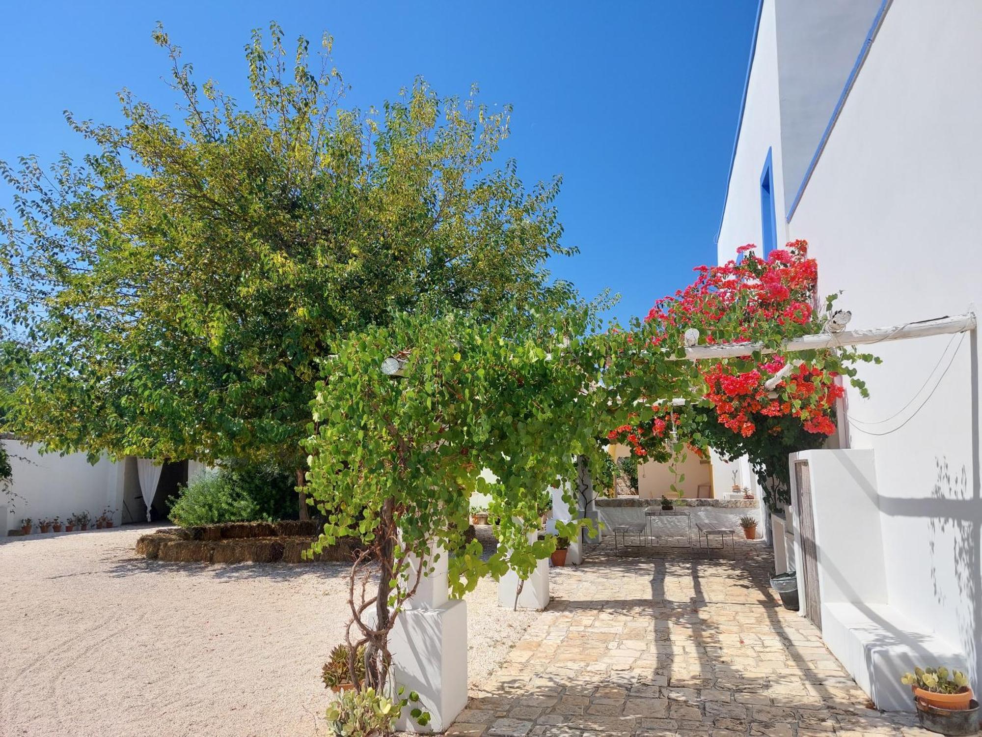 Masseria San Martino Polignano a Mare Luaran gambar