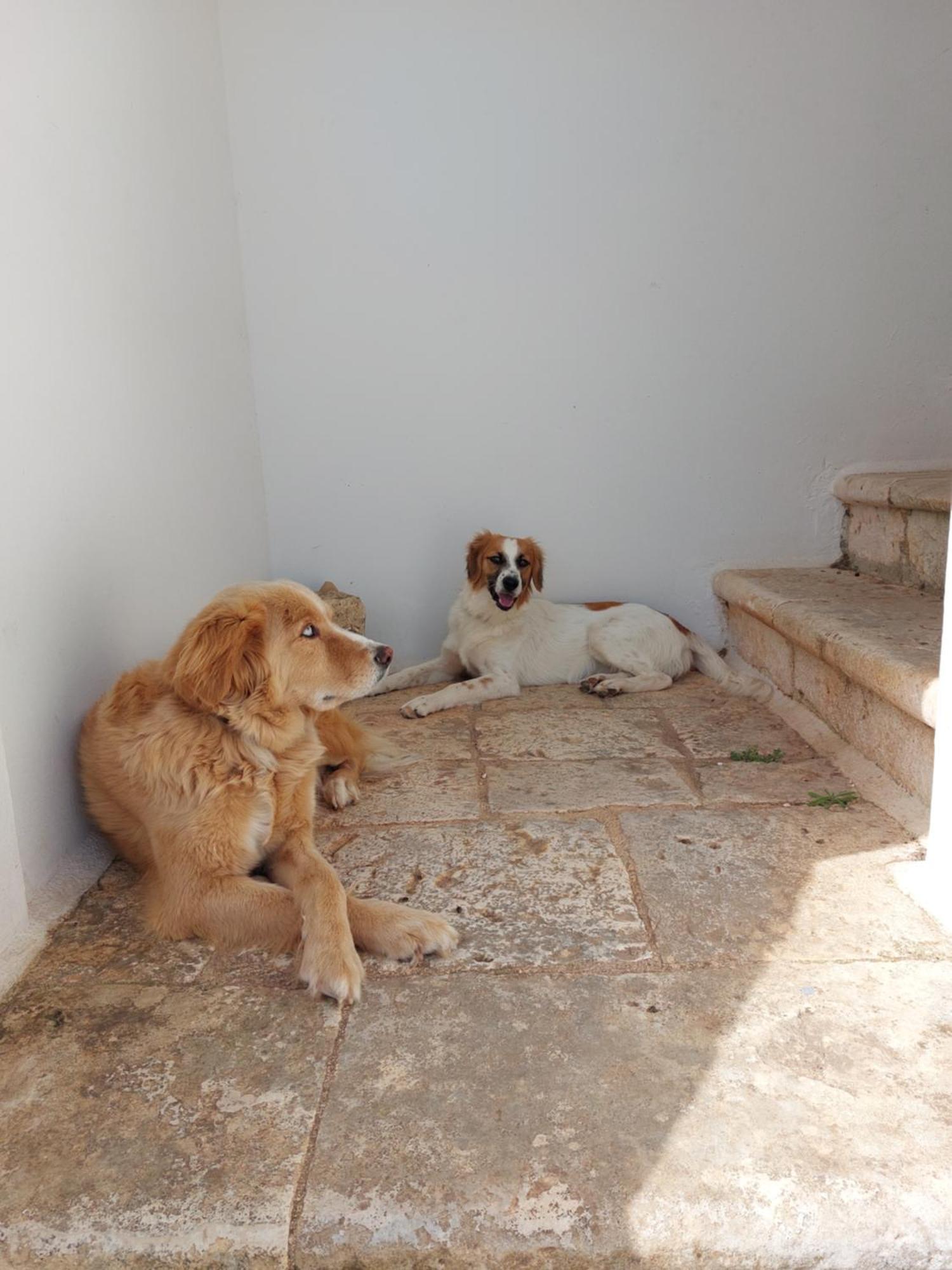 Masseria San Martino Polignano a Mare Luaran gambar