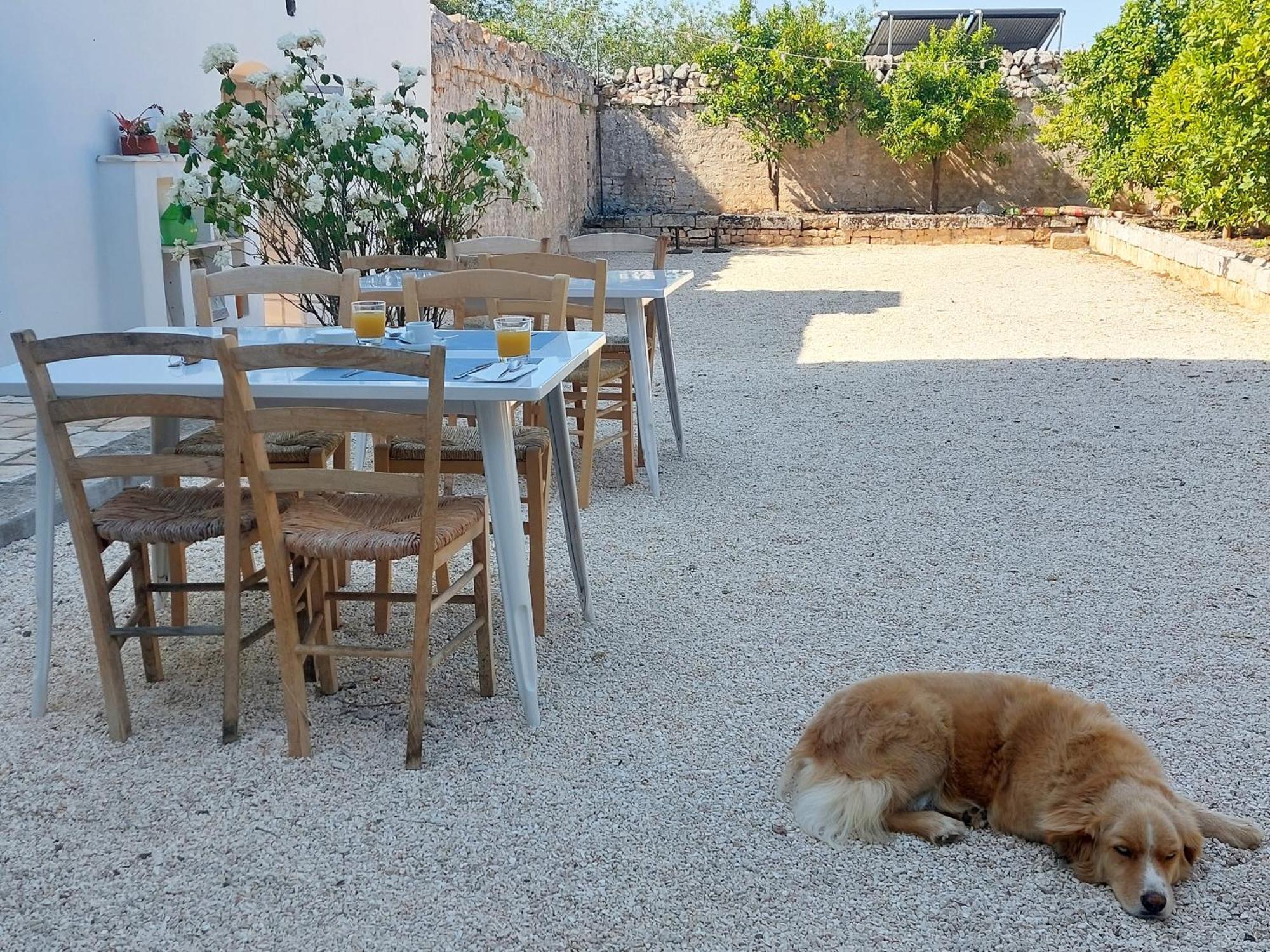 Masseria San Martino Polignano a Mare Luaran gambar